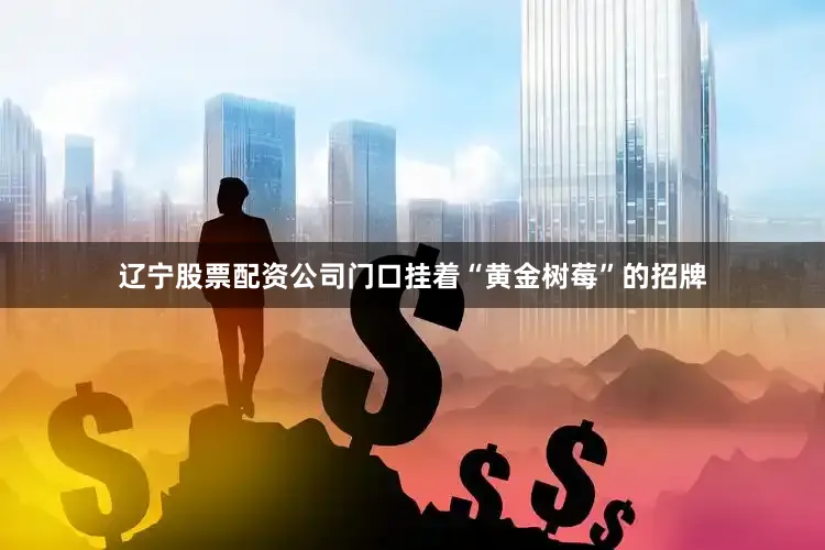 辽宁股票配资公司门口挂着“黄金树莓”的招牌