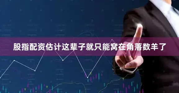 股指配资估计这辈子就只能窝在角落数羊了