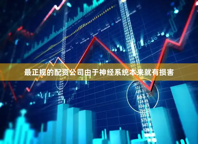 最正规的配资公司由于神经系统本来就有损害